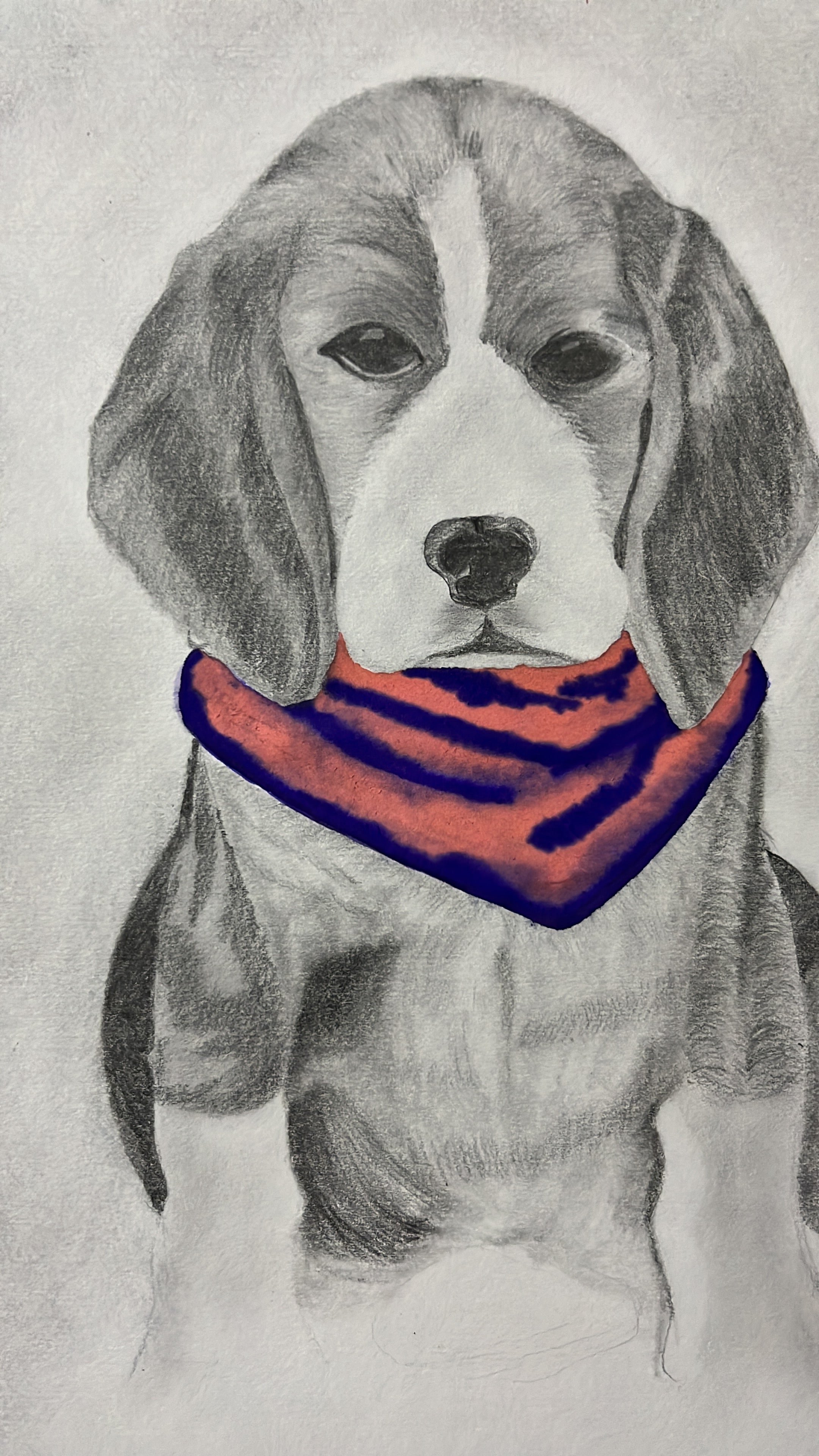 Beagle