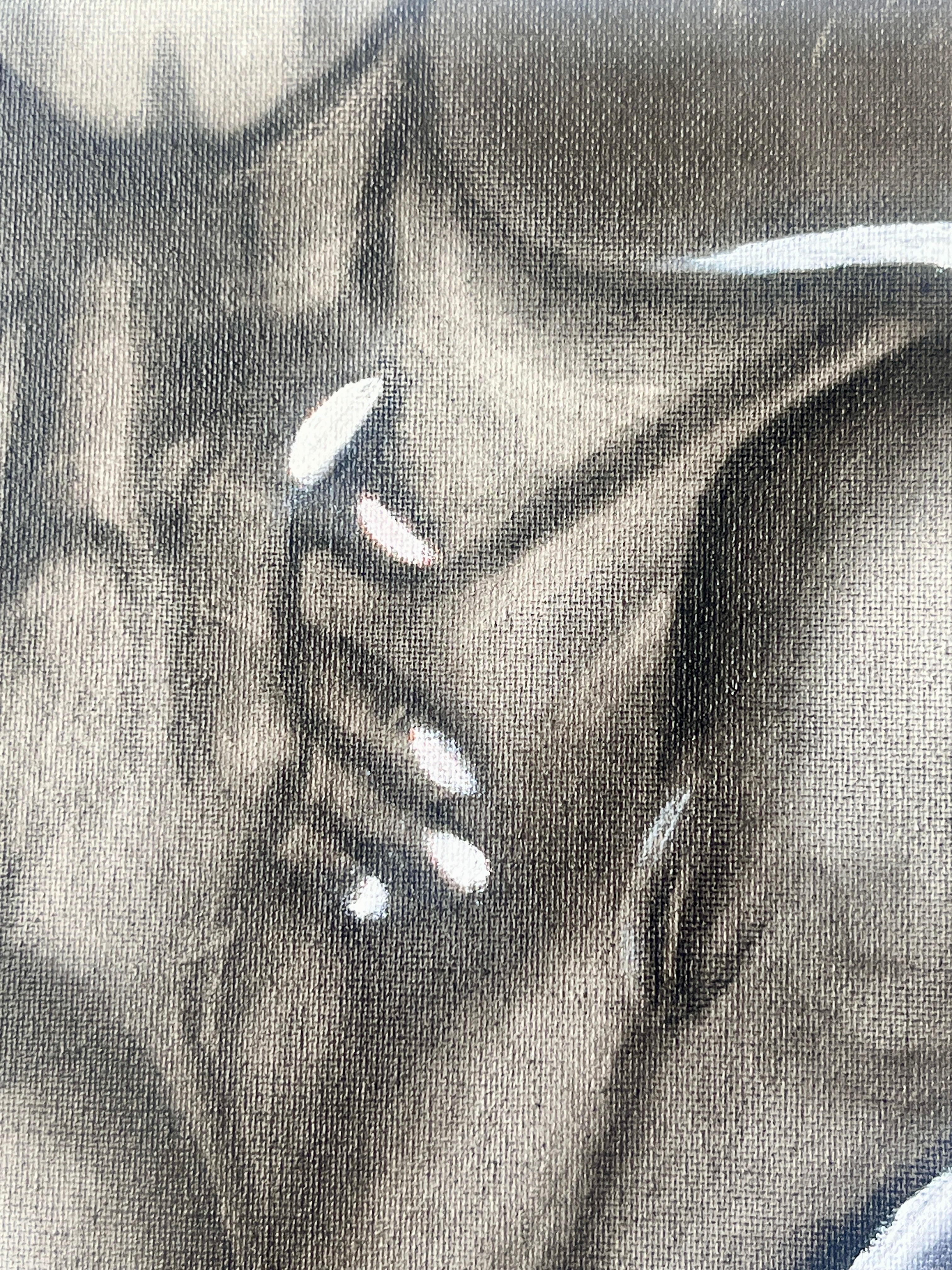 Vulnerable | Original