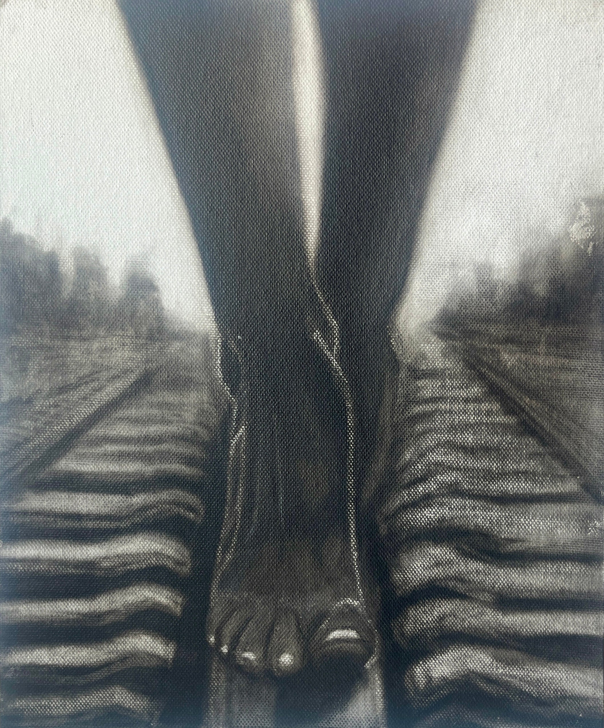 Sole Path | Prints