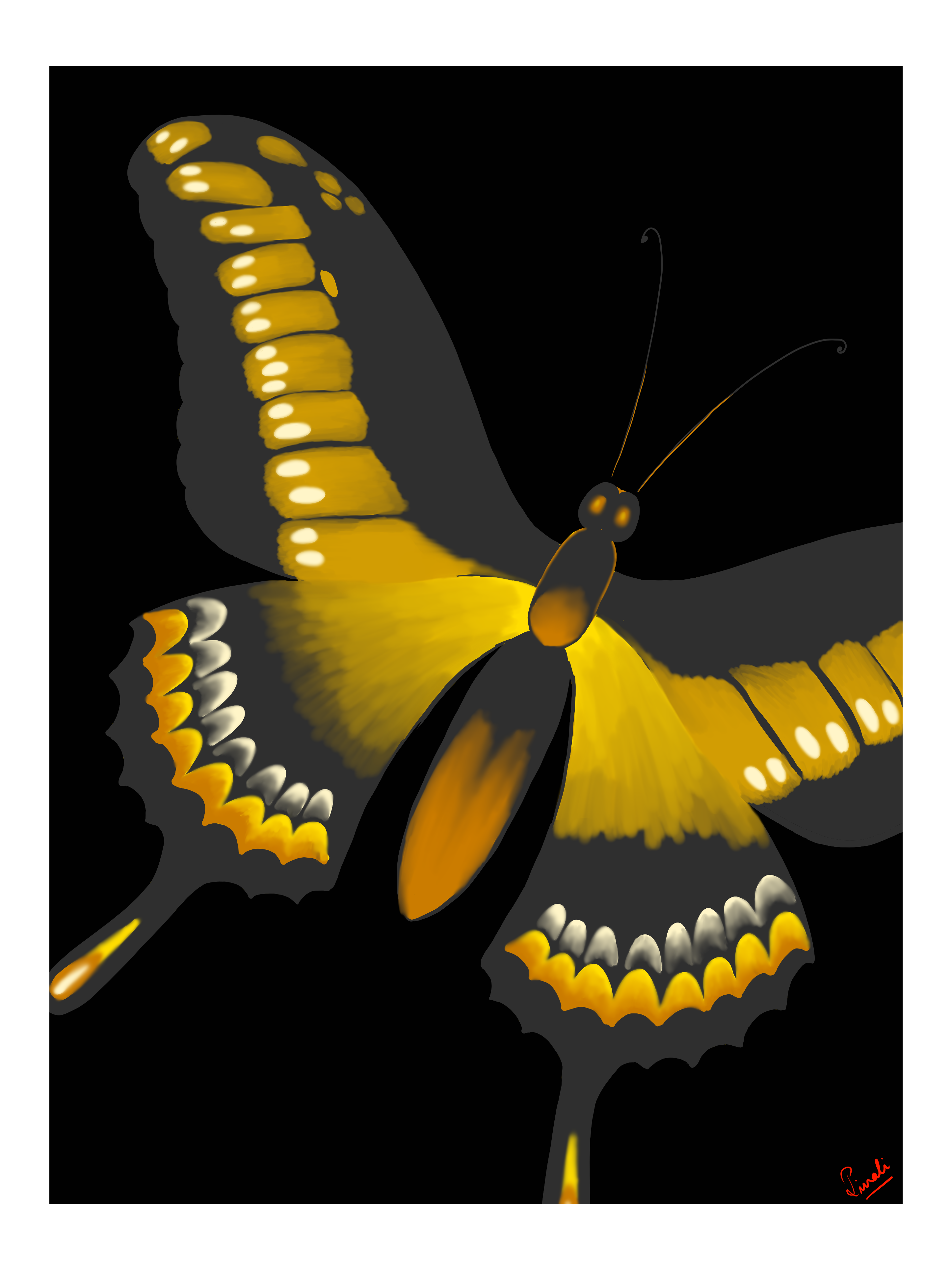 Butterfly - Yellow